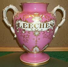 Buy 300 Leeches in United States