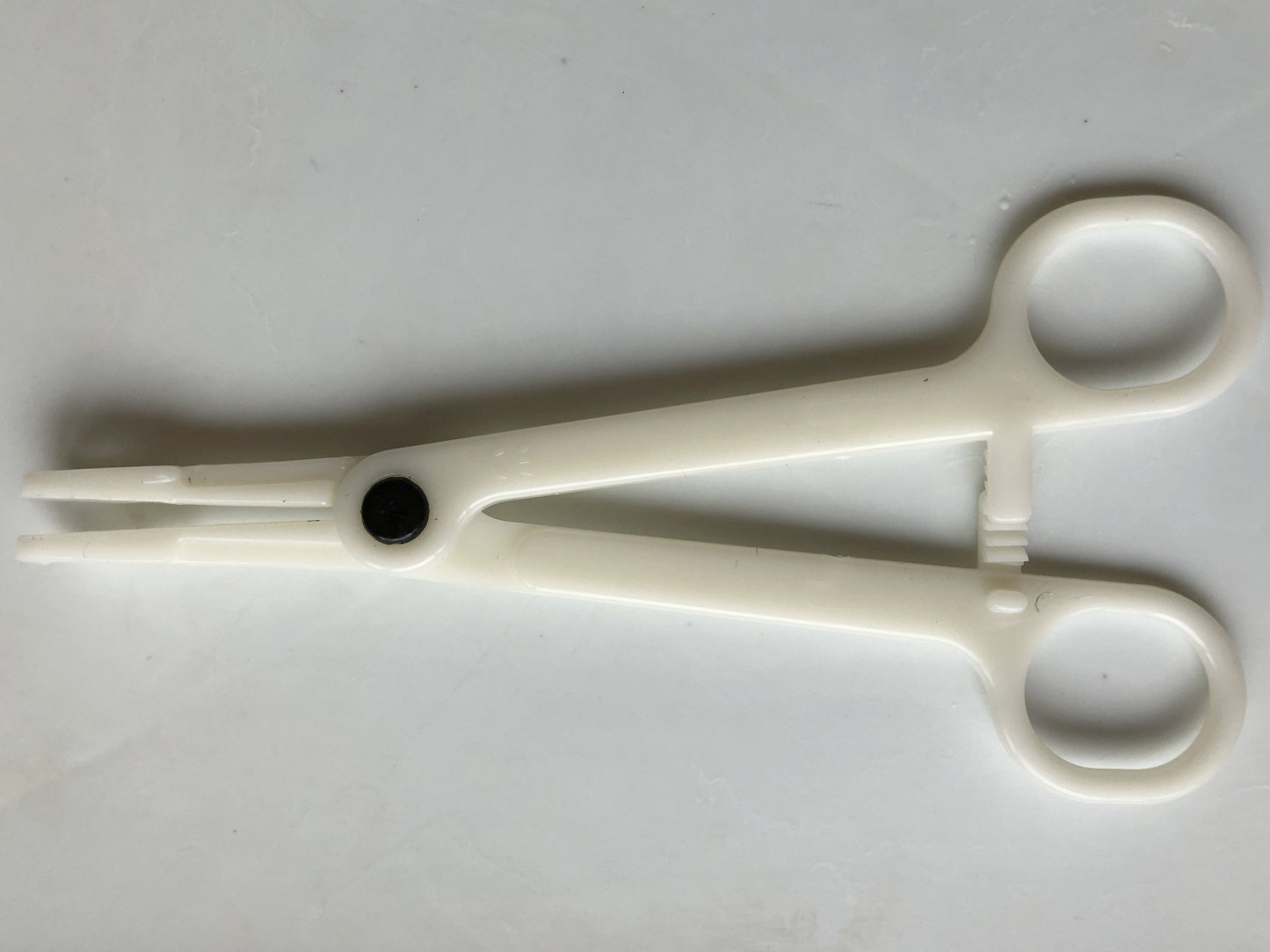 Forceps for Medicinal Leeches