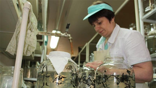 Buy 14 Leeches in United Kingdom